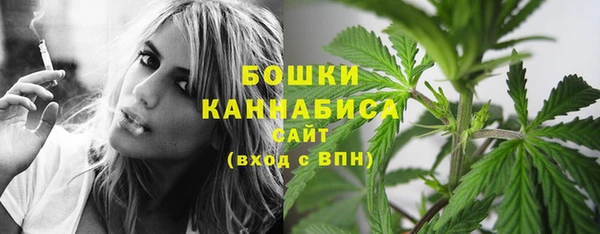 винт Бронницы