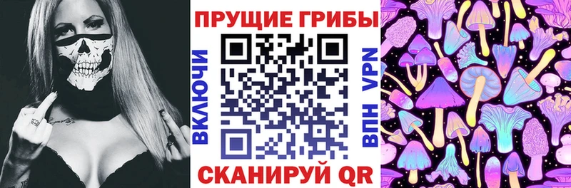 где можно купить наркотик  Верхний Тагил  Галлюциногенные грибы мицелий 